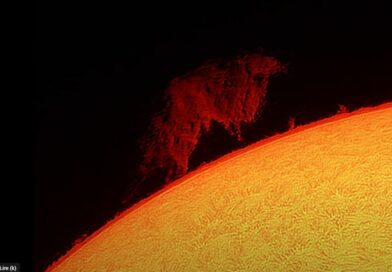 Nos astrophotos de juillet 2025